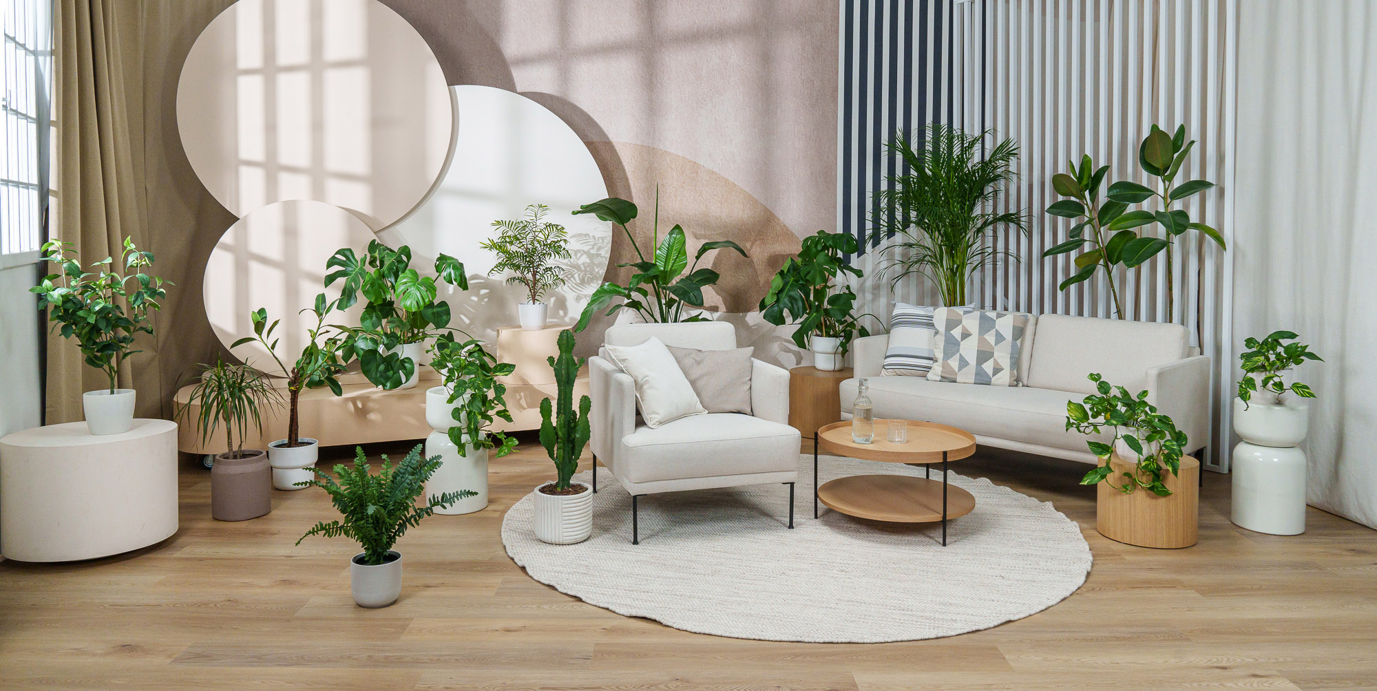 Studio fotograficzne Warszawa – Studio Cynamon